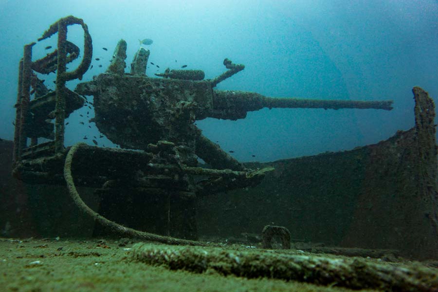 Koh-Tao-Shipwreck-dive